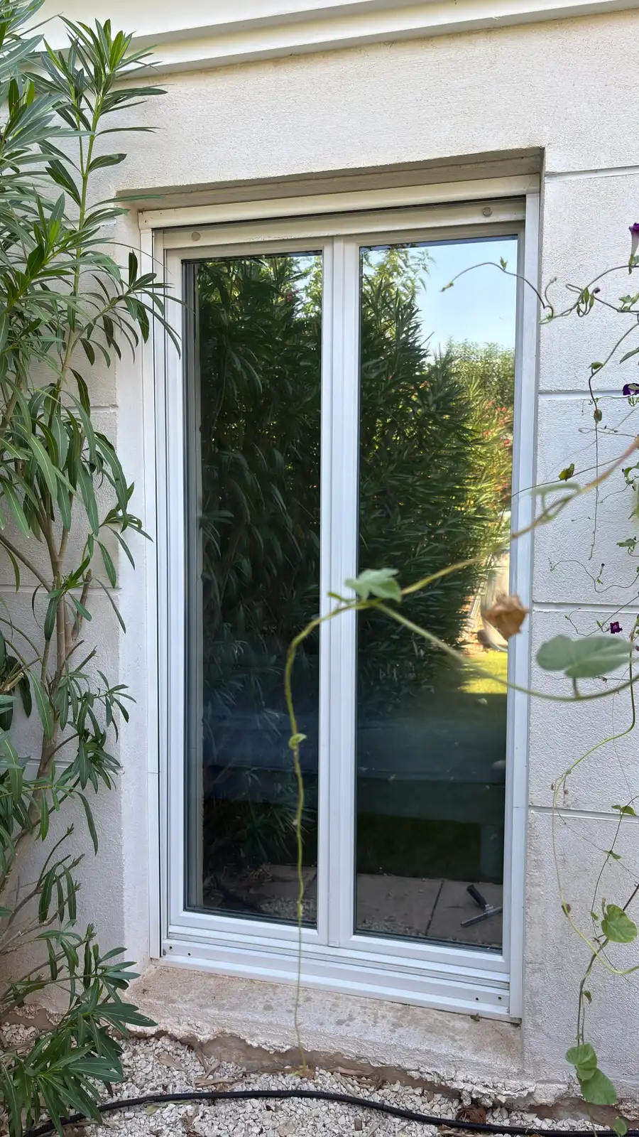Après : la baie vitrée équipée du film miroir sans tain réfléchit les lauriers et le ciel, l'intérieur n'est plus visible.